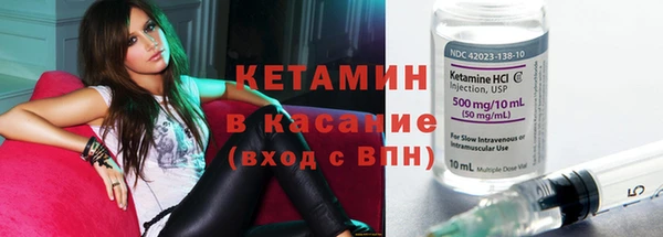 шишки Богородицк
