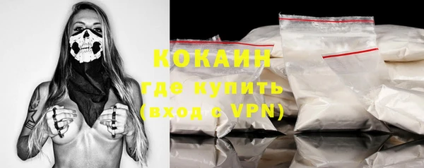 шишки Богородицк