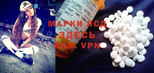 спайс Богданович