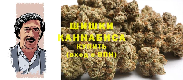 спайс Богданович