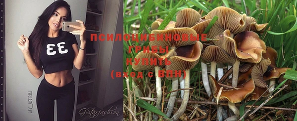 спайс Богданович