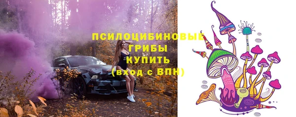 Альфа ПВП Строитель