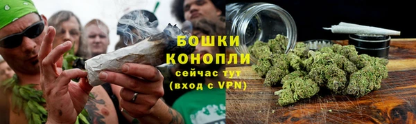 шишки Богородицк
