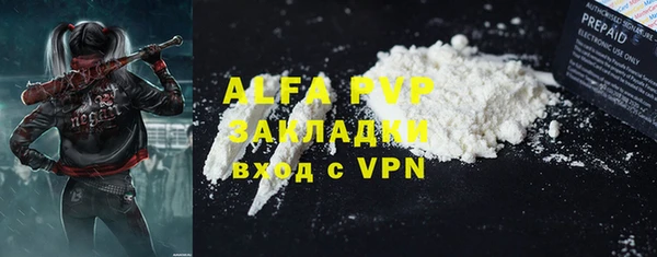 спайс Богданович