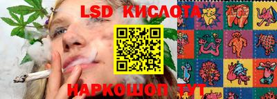 мдпв Ярославль
