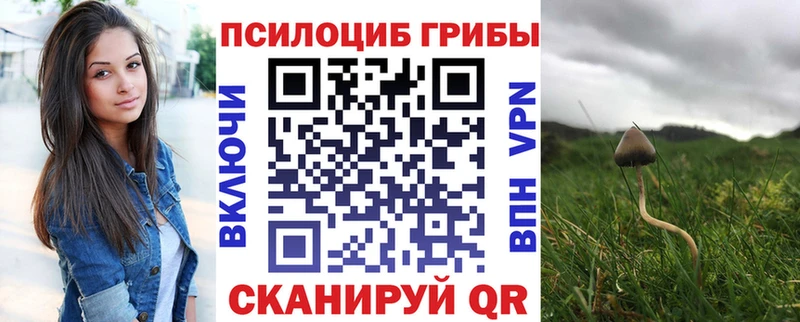 Псилоцибиновые грибы Psilocybine cubensis  Наро-Фоминск 