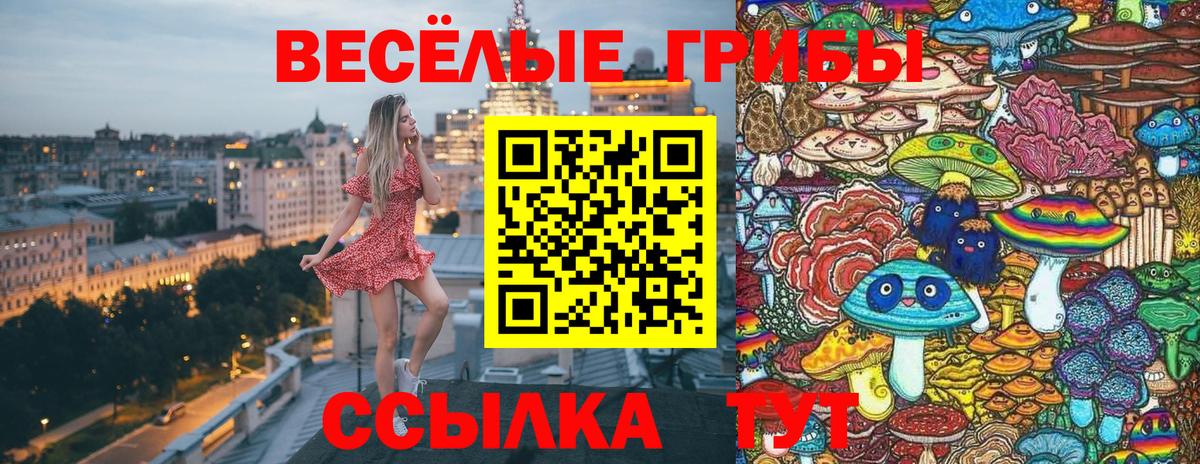 Псилоцибиновые грибы Psilocybe  Вход с VPN  наркотики  Наро-Фоминск  Галлюциногенные грибы Psilocybe 